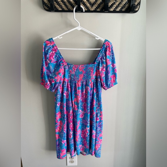 Lilly Pulitzer Delaney Short Sleeve Dress - Blue and Pink - Size 2 - Picture 9 of 15